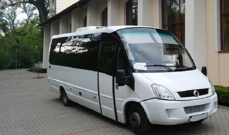 Silesian: Bus order in Zawiercie in Zawiercie and Poland