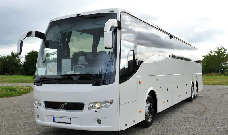 Poland: Buses agency in Silesian in Silesian and Tychy
