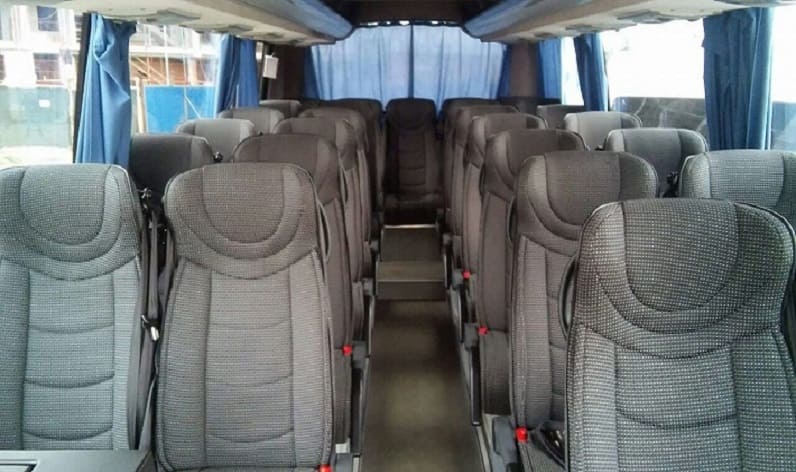 Poland: Coach hire in Silesian in Silesian and Żory